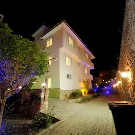 Villa You Will Love This Luxury With Balconies And Private Pool In Alanya, 1033