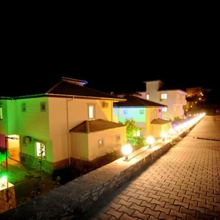 You Will Love This Luxury With Balconies And Private Pool In Alanya, 1033 Villa