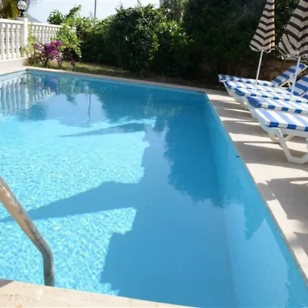 You Will Love This Luxury With Balconies And Private Pool In Alanya, 1033 알란야